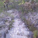 Rock steps to Lillian's Glen