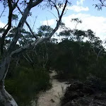 Ridge top walk