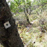 One of many track markers bolted to a tree