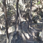 Stairs into small gully