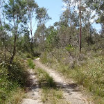 Service trail between red sands bay and Leather Jacket Bay