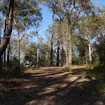 Track up the hill to Bournda Trig