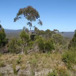 View from Bournda Trig