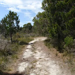 Service trail from red sands bay to Leather Jacket Bay