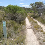 Arrow marker beside service trail