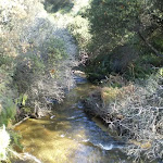 Crossing Jamison Creek