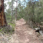 Service trail to Mowarry Point
