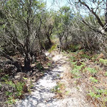 Kangartha Track north of Wallagoot Gap
