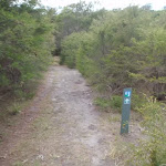 Arrow marker through the heath