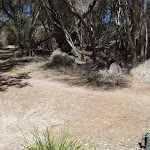 Track away from the dunes to Hobart Beach camping area