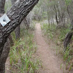 Track marker bolted to tree