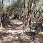 The track looking away from Hobart Beach camping area