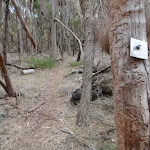 Track marker bolted into tree