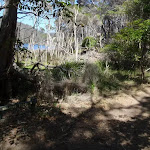 Track along Bournda Lagoon