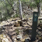 Arrow marker beside Bournda Lagoon track