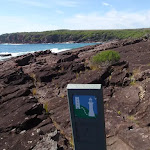 Arrow marker north of Hegarty Bay