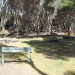 Hegartys Bay camping area