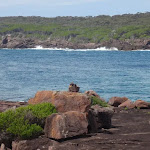 Looking across the entrance of Bittangabee Bay from the north