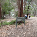 Bittangabee Picnic area and sign