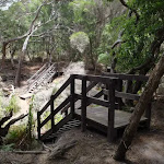 Stairs through gully south of Bittangabee Bay