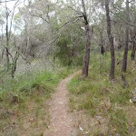 Track to the service trail