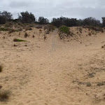 Back of beach to stairs up dunes