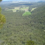 The Megalong