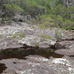 Bittangabee Creek