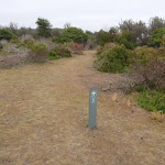 Arrow marker along the grassed headland