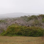 Distant Range, south of Haycock Point