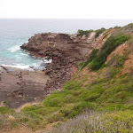 View from track to Haycock Point