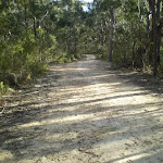 Six Foot Track south of Nellies Glen