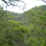 View from Six Foot Track