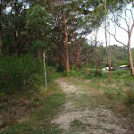 following the service trail towards the houses
