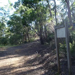 Following the Darri Track signs