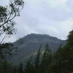 In the Megalong Valley