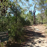 Intersection of the Warrimoo Track