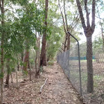 Following the side of the animal enclosures