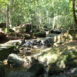 Bobbin Head Rainforest