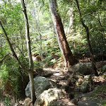 Rocky section on Warrimoo Track