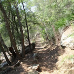Warrimoo Track near Bobbin Head