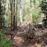 The Marrua Link Track