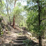 Steps on Sphinx Walking track