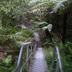 Stairs down into Leura Forest