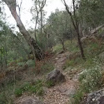 Birrawana Track towards Apple Tree Bay