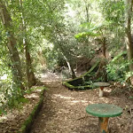 Old Picnic area at base of Cockle Creek lookout track