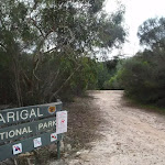 Entering Garigal National Park