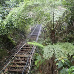 The Scenic Railway