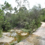 Crossing Borgnis Creek