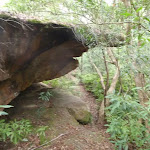 Small cave on Middle Harbour Track